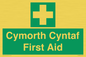 FE12896: Cymorth Cyntaf First Aid in Welsh