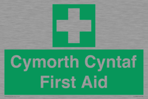 FE12896: Cymorth Cyntaf First Aid in Welsh