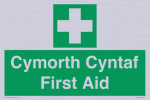 FE12896: Cymorth Cyntaf First Aid in Welsh
