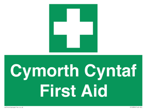 FE12896: Cymorth Cyntaf First Aid in Welsh