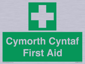 FE12896: Cymorth Cyntaf First Aid in Welsh