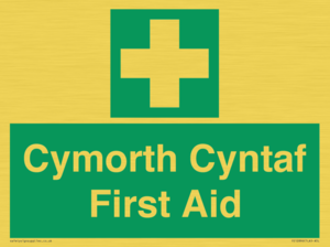 FE12896: Cymorth Cyntaf First Aid in Welsh