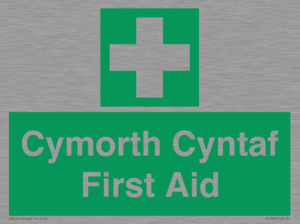 FE12896: Cymorth Cyntaf First Aid in Welsh