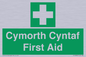 FE12896: Cymorth Cyntaf First Aid in Welsh