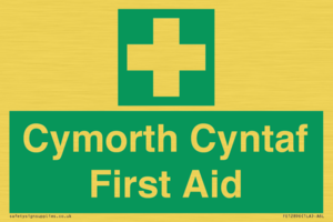 FE12896: Cymorth Cyntaf First Aid in Welsh
