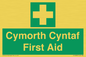FE12896: Cymorth Cyntaf First Aid in Welsh