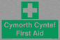FE12896: Cymorth Cyntaf First Aid in Welsh