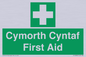 FE12896: Cymorth Cyntaf First Aid in Welsh