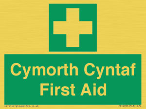 FE12896: Cymorth Cyntaf First Aid in Welsh