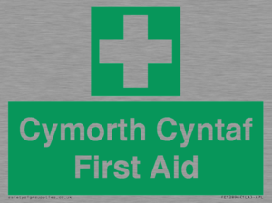FE12896: Cymorth Cyntaf First Aid in Welsh