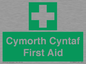 FE12896: Cymorth Cyntaf First Aid in Welsh