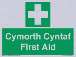 FE12896: Cymorth Cyntaf First Aid in Welsh