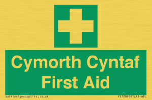 FE12896: Cymorth Cyntaf First Aid in Welsh