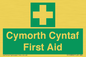 FE12896: Cymorth Cyntaf First Aid in Welsh