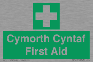 FE12896: Cymorth Cyntaf First Aid in Welsh