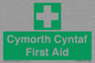 FE12896: Cymorth Cyntaf First Aid in Welsh