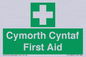 FE12896: Cymorth Cyntaf First Aid in Welsh