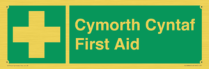 FE12896: Cymorth Cyntaf First Aid in Welsh