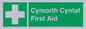 FE12896: Cymorth Cyntaf First Aid in Welsh