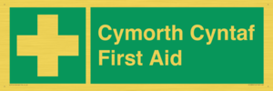 FE12896: Cymorth Cyntaf First Aid in Welsh