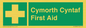 FE12896: Cymorth Cyntaf First Aid in Welsh