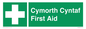 FE12896: Cymorth Cyntaf First Aid in Welsh