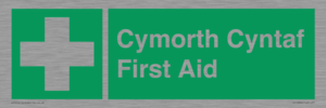 FE12896: Cymorth Cyntaf First Aid in Welsh