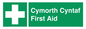 FE12896: Cymorth Cyntaf First Aid in Welsh