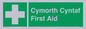 FE12896: Cymorth Cyntaf First Aid in Welsh
