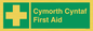 FE12896: Cymorth Cyntaf First Aid in Welsh