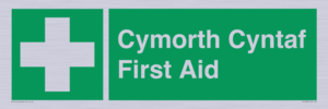 FE12896: Cymorth Cyntaf First Aid in Welsh