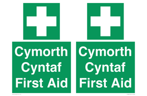 FE12896: Cymorth Cyntaf First Aid in Welsh