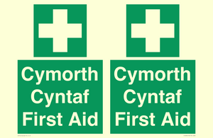 FE12896: Cymorth Cyntaf First Aid in Welsh