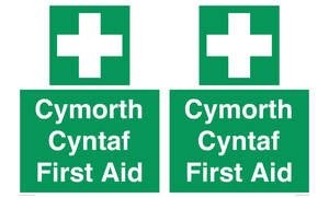 FE12896: Cymorth Cyntaf First Aid in Welsh