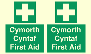 FE12896: Cymorth Cyntaf First Aid in Welsh