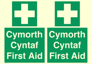 FE12896: Cymorth Cyntaf First Aid in Welsh