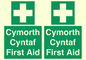 FE12896: Cymorth Cyntaf First Aid in Welsh