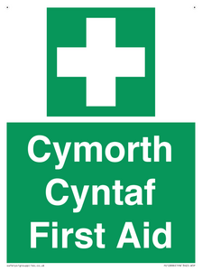 FE12896: Cymorth Cyntaf First Aid in Welsh