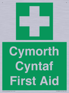 FE12896: Cymorth Cyntaf First Aid in Welsh