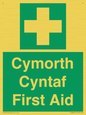 FE12896: Cymorth Cyntaf First Aid in Welsh