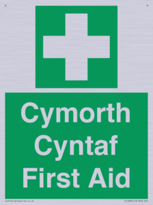 FE12896: Cymorth Cyntaf First Aid in Welsh