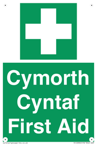 FE12896: Cymorth Cyntaf First Aid in Welsh