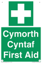FE12896: Cymorth Cyntaf First Aid in Welsh