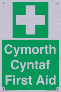 FE12896: Cymorth Cyntaf First Aid in Welsh