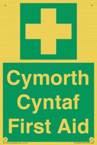 FE12896: Cymorth Cyntaf First Aid in Welsh