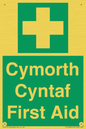 FE12896: Cymorth Cyntaf First Aid in Welsh
