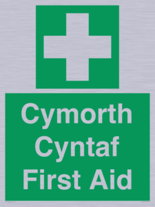 FE12896: Cymorth Cyntaf First Aid in Welsh
