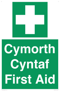 FE12896: Cymorth Cyntaf First Aid in Welsh