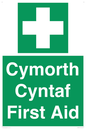 FE12896: Cymorth Cyntaf First Aid in Welsh