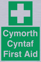 FE12896: Cymorth Cyntaf First Aid in Welsh